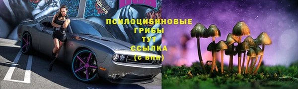молекула духа Володарск