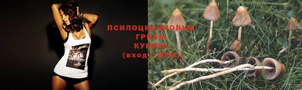 a pvp Волосово