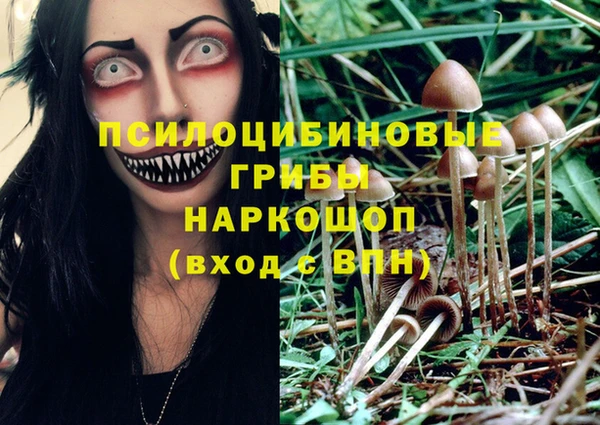 молекула духа Володарск