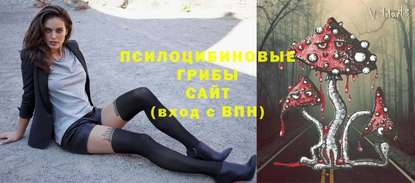 молекула духа Володарск