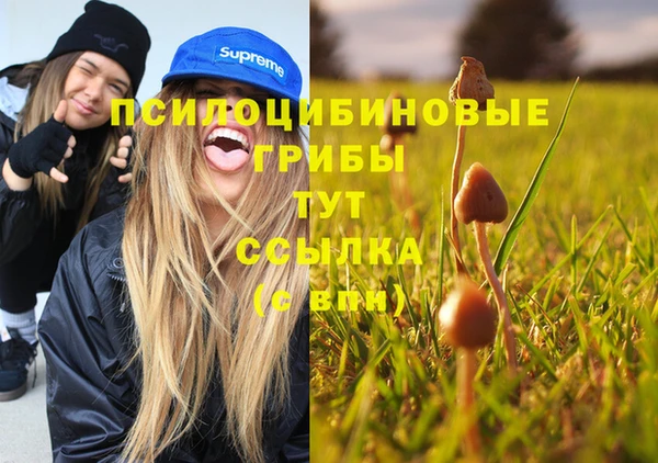 a pvp Волосово